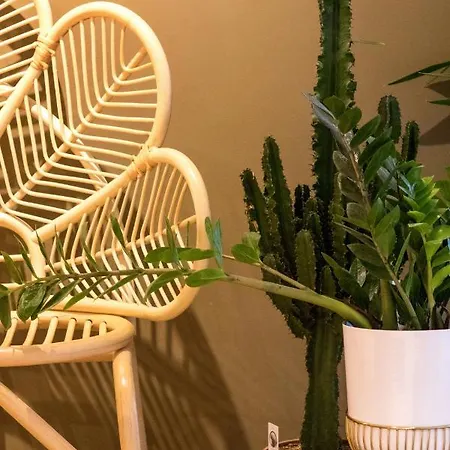 Luff Boutique - Adult Only 3*