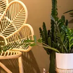 Luff Boutique - Adult Only 3*