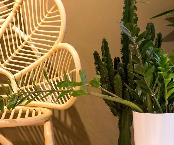 Luff Boutique - Adult Only 3*